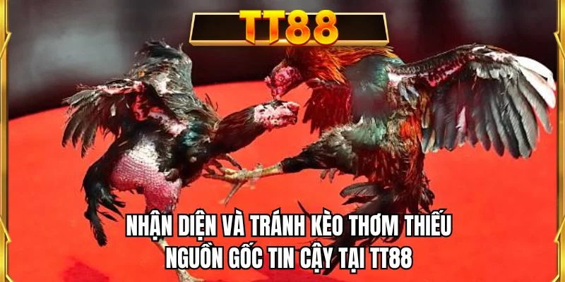 Nhận diện và tránh kèo thơm thiếu nguồn gốc tin cậy tại TT88